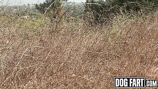 DOGFART - Fire Marshal Slim Poke Extinguishes Tifa's Fine with Monster Cock Smashing