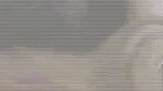 The Neighbor's Daughter