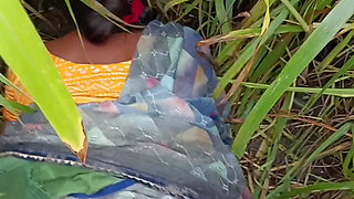 In outdoor open field corn