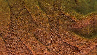 Under the Skirt Is Better! - Lilykoti