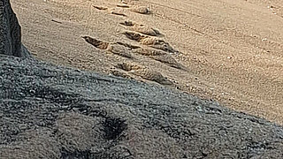 Enjoying the Beach and Showing off My Body.