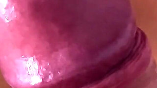 Delicious Kitty Blowjob