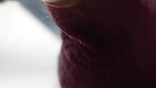 Lolas Sissy Bi Blowjob