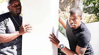 Busty brunette sucks and licks big cock in a close up