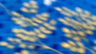 Housewife Threesome Fucking