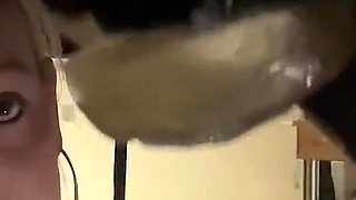 Close up Ruined Multiple Times Into a Glass on the Milking Table
