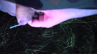Nice Wank in the Park
