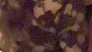 Butler in the Buff Getting Round the World Rim Job in Total Ecstasy