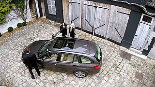 Brittany Bardot The Sensational Brunette Explores An