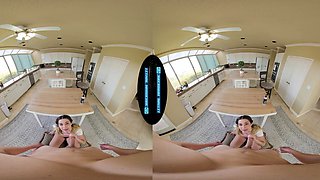 You Fuck The Slutty Babysitter Over the Kitchen Counter -