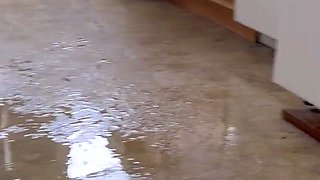 Destroying this kitchen with my powerpissing stream