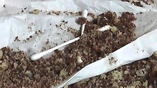 Extreme Humiliation Meal POV! Only for Real Gourmets!