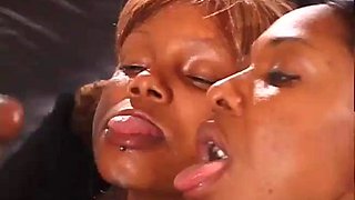 Adina Jewel, Jamaica: Blowjob, Cowgirl  Missonary Porn