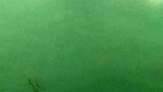 Mermaid Spotted! Wet Encounter in Lost Cove