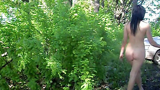In the Woods I'm Waiting for the Next Cock