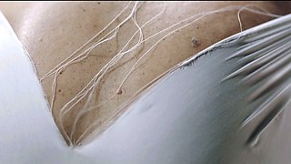 Monster Porn - T-NTCL Virus