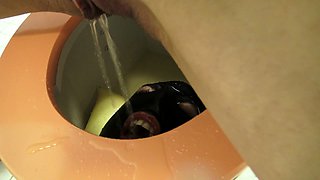 toilet slave training