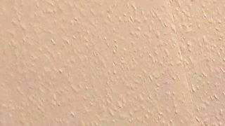 Sexy pornstar Tina Blade banged by Luke Hotrod's big white dick