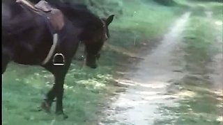 Vintage Orgy Party with Black & White Pussy Fucking and Ass Fingering - Rocco Siffredi, Big Tits, Blonde, BBC