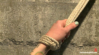 Day 3 - Sparky and Muscles