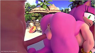 Amy Rose Fucked On The Beach