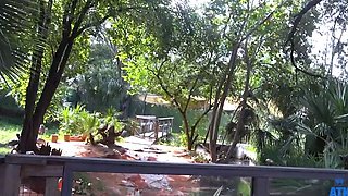 Webcam beauty and her toys have solo sex