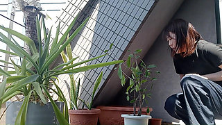 Peeing on a Potted Plant