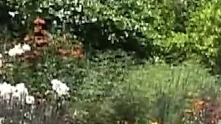 Busty Blonde MILF Rides Hard Cock Outdoors Passionately