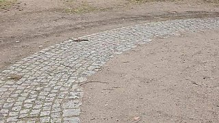 and eager to show off in the park