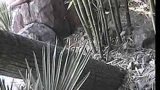 Young asian chick takes huge cock in her mouth