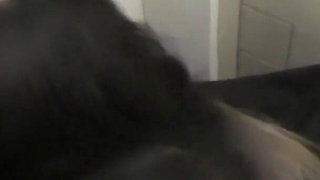 Das Glory Hole Am Busbahnhof