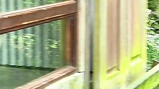 Untamed in the Treetops