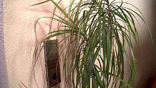 Wild Mature Sluts in Insane Fuck Compilation - Pussy Eating, Fucking, Toys!