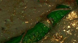 Insatiable Lola Takes 19 Inch Alien Monster