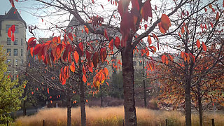 Tiffany Tatum - Tiffanys Heavenly Orgasmic Secret to Ecstasy