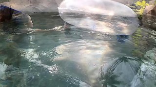 Foot fetish Handjob POV